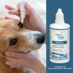 ReboCare Ocuvid Augenspüllösung -Haustier Geschäft rebocare ocuvid augenspuelloesung tiere4