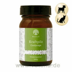 Kraftpilze Cordyceps - Vitalpilzpulver Für Hunde & Katzen